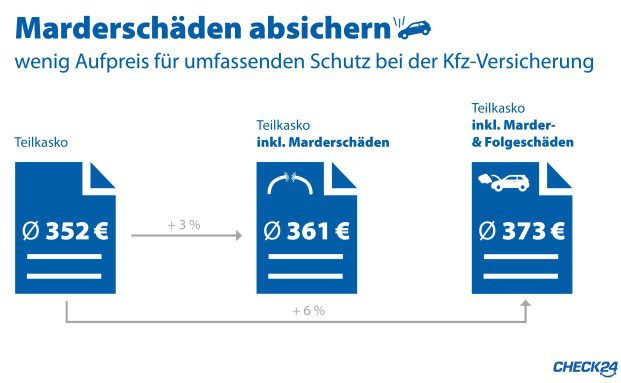 Zusatzschutz für Marderschäden ist nicht teuer