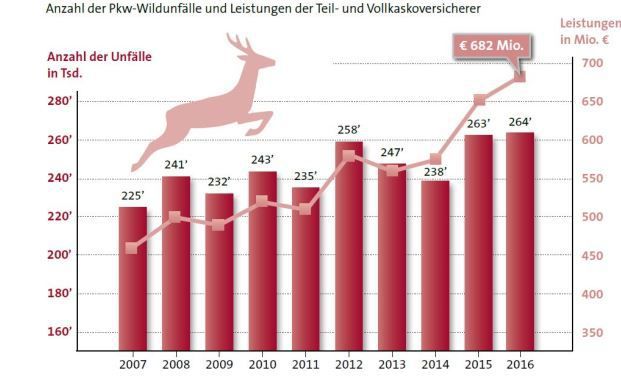 Zehn Verhaltenstipps vor und nach einem Wildunfall