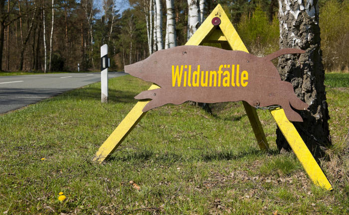 Wildschäden umfassend abdecken